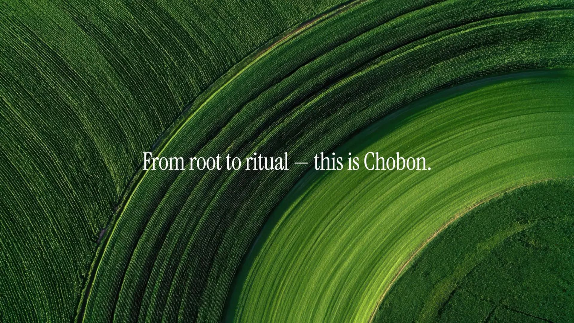 BEFORE THE TREE, THE GRASS — 초본 브랜드 키비주얼
